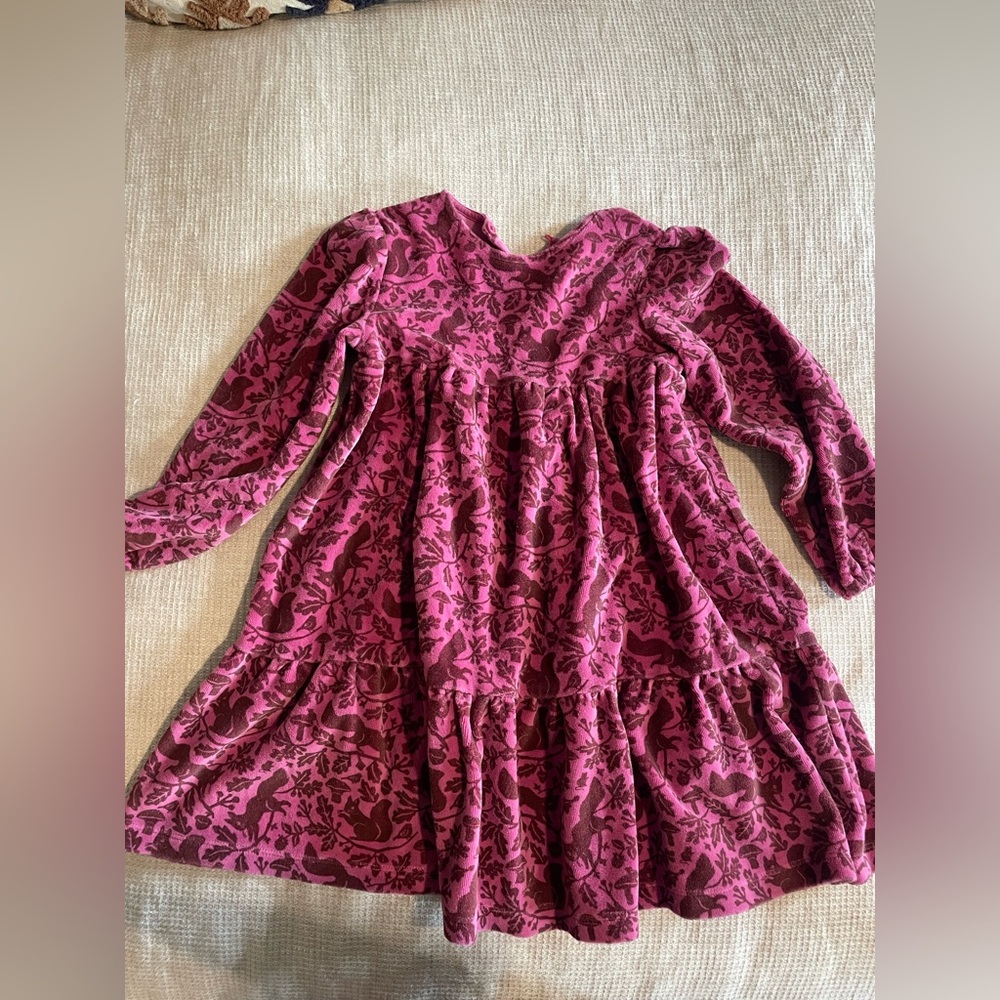 Mini Boden Burgundy Floral and squirrel print  girls Dress